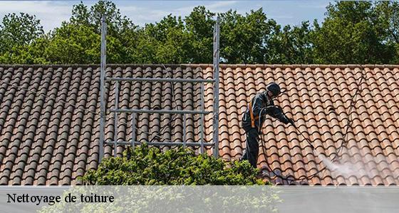 nettoyage-de-toiture-6