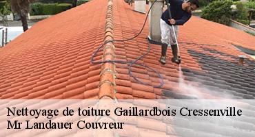 nettoyage-de-toiture-1