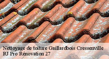 nettoyage-de-toiture-1