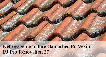 nettoyage-de-toiture-1