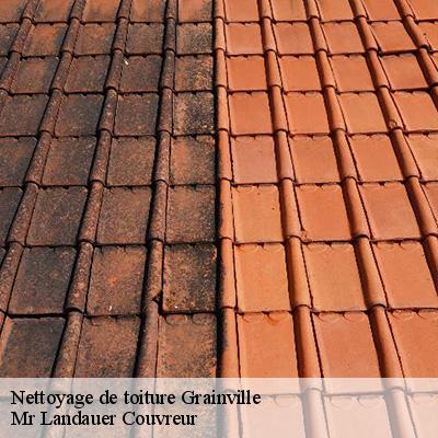 nettoyage-de-toiture-4