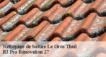 nettoyage-de-toiture-1