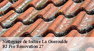 nettoyage-de-toiture-1