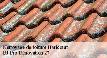 nettoyage-de-toiture-1