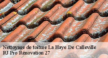 nettoyage-de-toiture-1