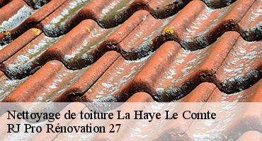 nettoyage-de-toiture-1
