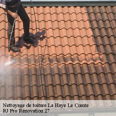 nettoyage-de-toiture-4