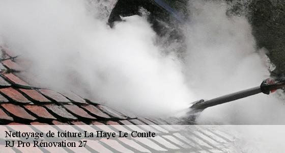nettoyage-de-toiture-7