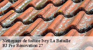 nettoyage-de-toiture-1