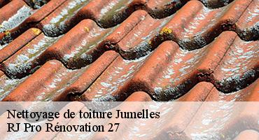 nettoyage-de-toiture-1