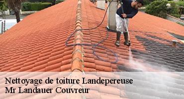 nettoyage-de-toiture-1