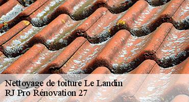nettoyage-de-toiture-1
