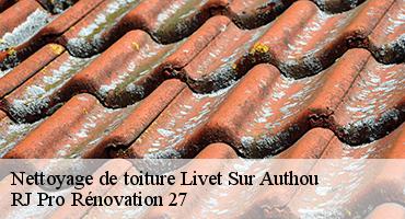 nettoyage-de-toiture-1