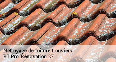 nettoyage-de-toiture-1