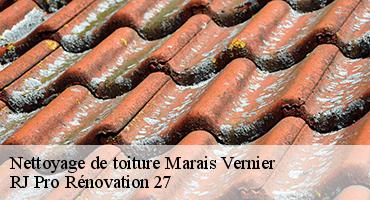 nettoyage-de-toiture-1
