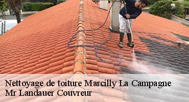 nettoyage-de-toiture-1