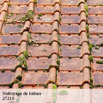 nettoyage-de-toiture-8