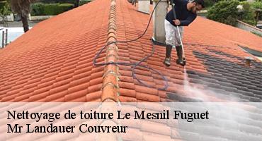 nettoyage-de-toiture-1