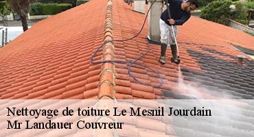 nettoyage-de-toiture-1