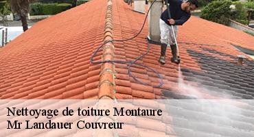 nettoyage-de-toiture-1