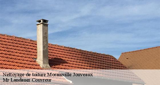 nettoyage-de-toiture-7