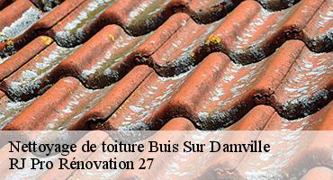 nettoyage-de-toiture-1