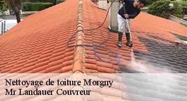 nettoyage-de-toiture-1