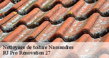 nettoyage-de-toiture-1