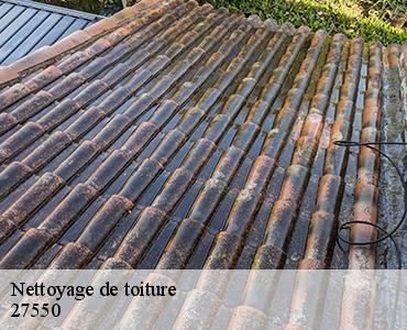 nettoyage-de-toiture-2