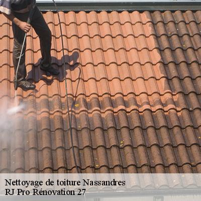 nettoyage-de-toiture-4
