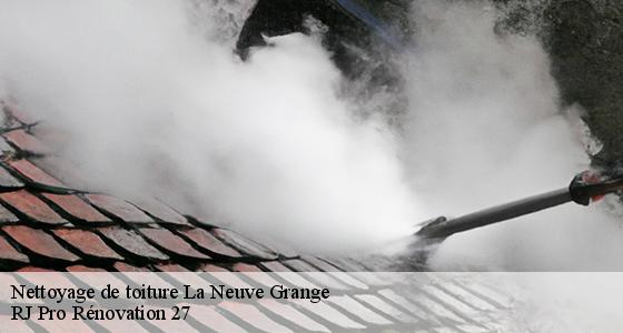 nettoyage-de-toiture-7