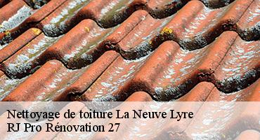 nettoyage-de-toiture-1