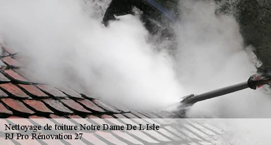 nettoyage-de-toiture-7