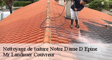 nettoyage-de-toiture-1