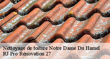 nettoyage-de-toiture-1