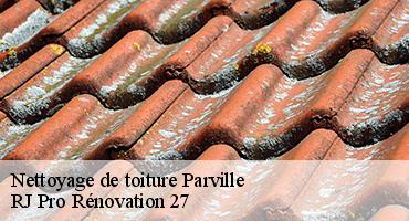nettoyage-de-toiture-1