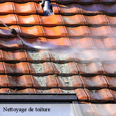 nettoyage-de-toiture-3