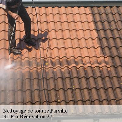 nettoyage-de-toiture-4