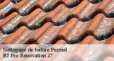 nettoyage-de-toiture-1