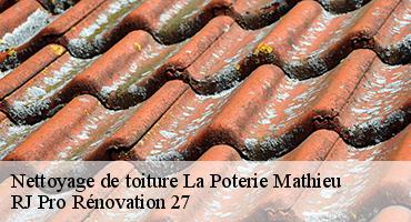 nettoyage-de-toiture-1