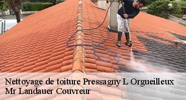 nettoyage-de-toiture-1