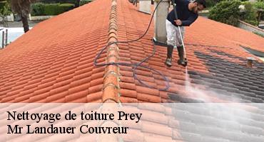 nettoyage-de-toiture-1