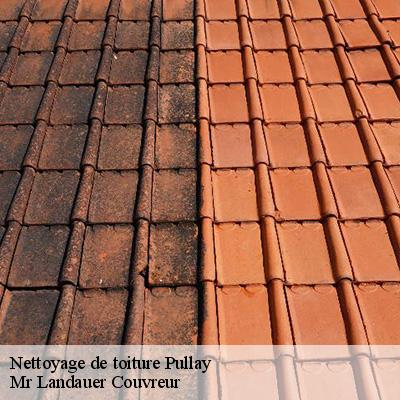 nettoyage-de-toiture-4