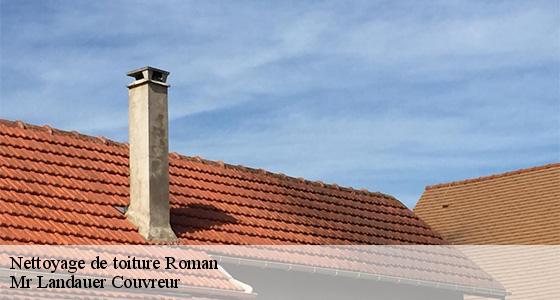 nettoyage-de-toiture-7