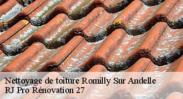 nettoyage-de-toiture-1