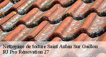 nettoyage-de-toiture-1