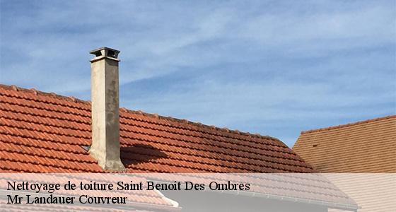 nettoyage-de-toiture-7