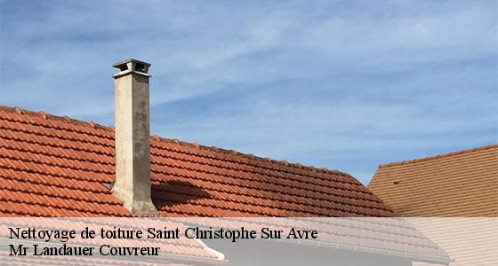 nettoyage-de-toiture-7