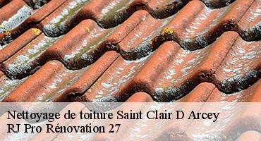 nettoyage-de-toiture-1