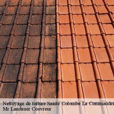 nettoyage-de-toiture-4